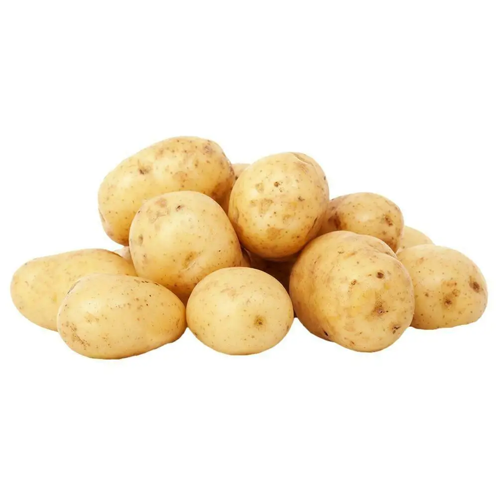 Organic fresh Potato Latest crop best quality 100% export quality standard weight and good Shape Potato size from Bangladesh