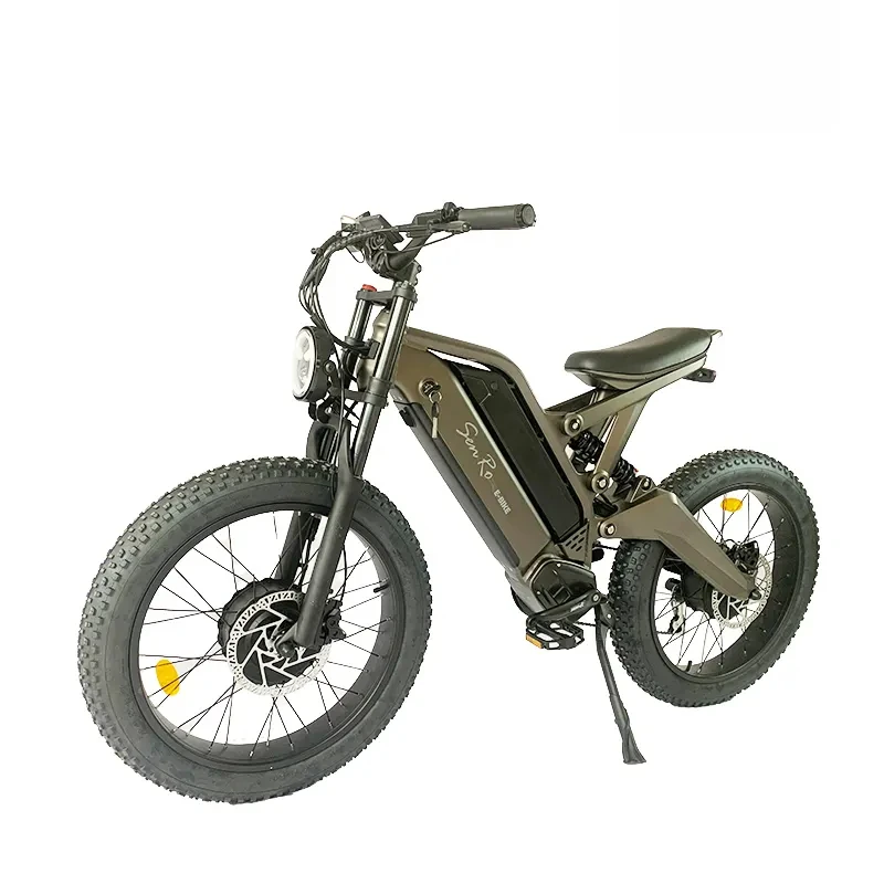 24 Inch DUAL ELECTRIC DUAL DRIVE Fat Tire 1000w Electric Mountainbike Full Suspension E Bicycle Ebike For Adult