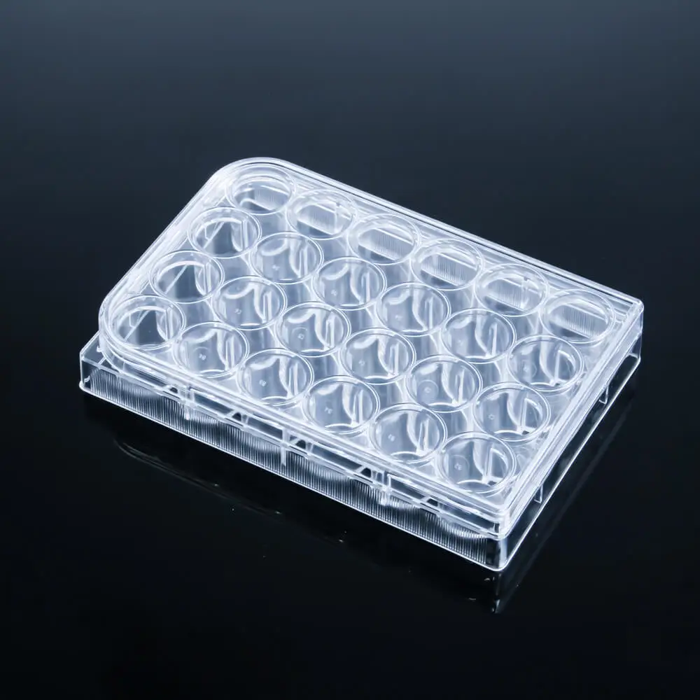 6 ,12,24,48,96 wells plate cell tissue culture plate
