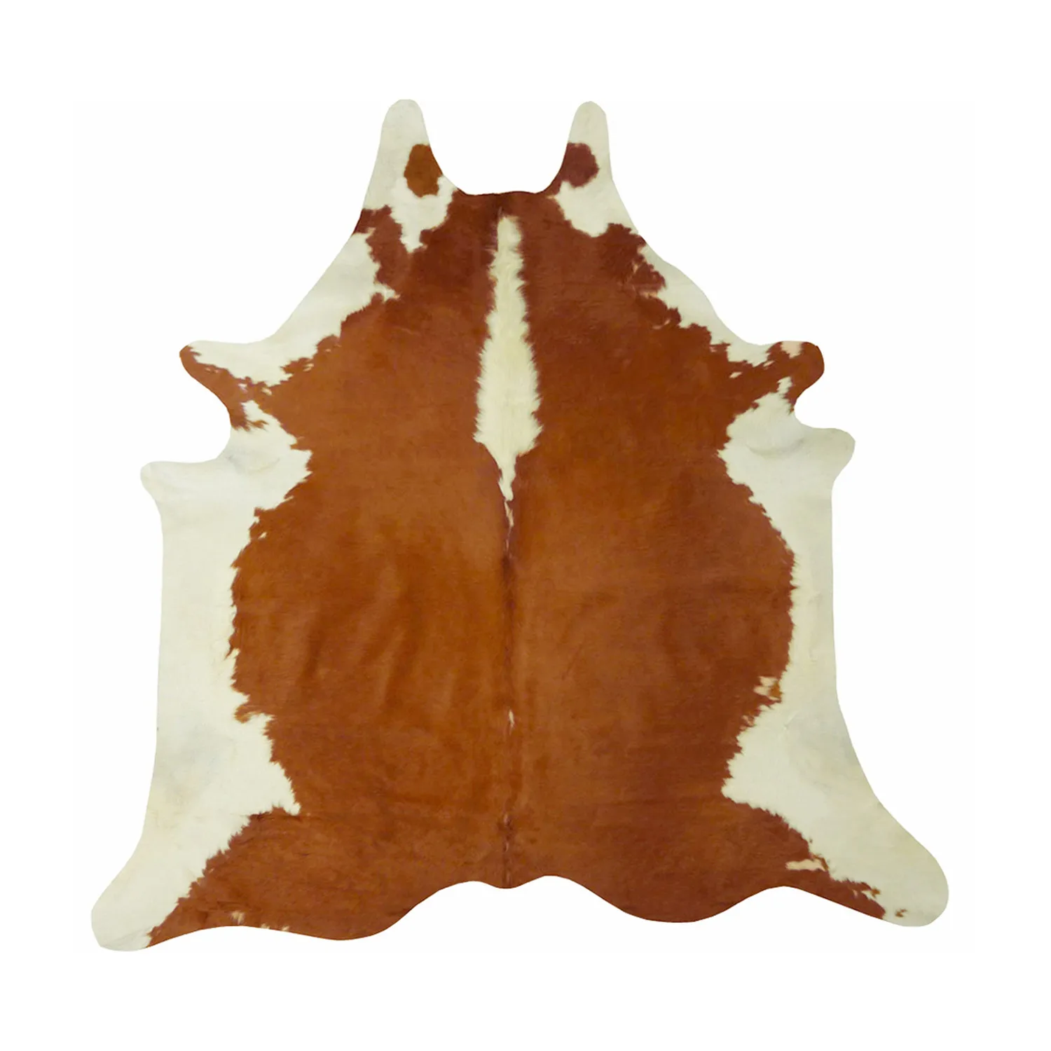 Wet Salted Cow Hides / Skins / Animal Cattle Hides Available
