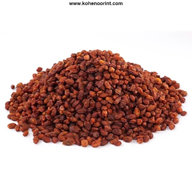 Organic Hippophae Sea Buckthorn Berries