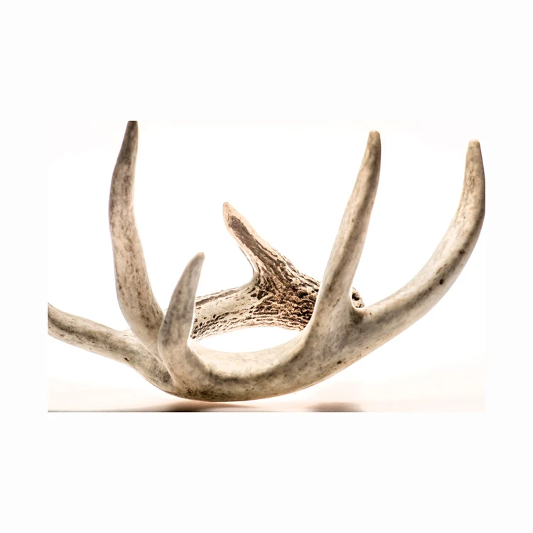 Whole Red Deer Antlers For Sale with Deer antlers Ornaments Bulk sales