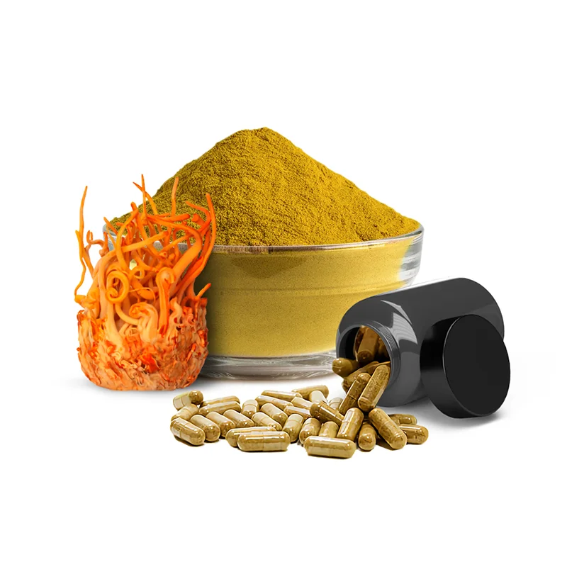 Best quality Seabuckthorn Seed Oil Berries Hippophae Rhamnoides Extract Fruit Seeds Dried Sea Buckthorn Powder