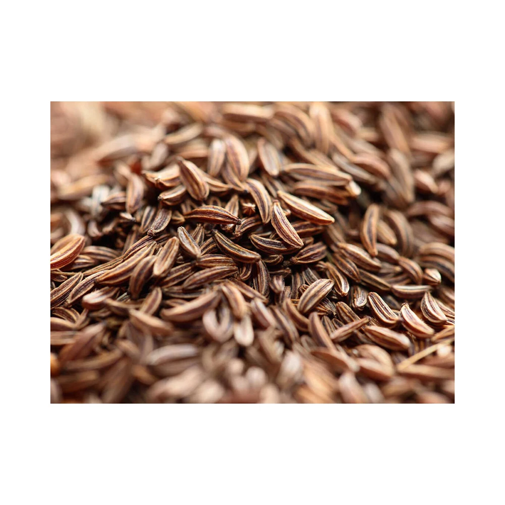 Hot sale quality spice cumin seed At low Price offer