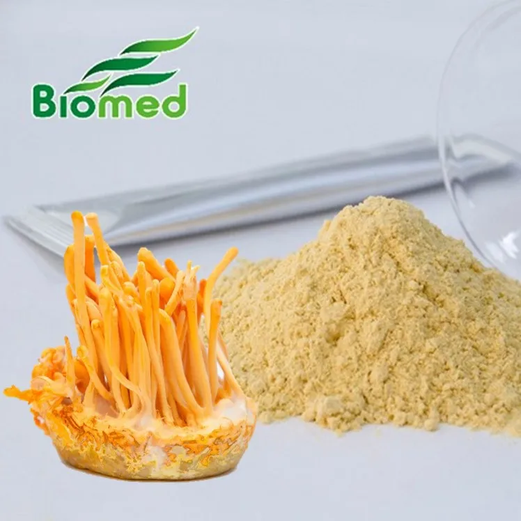 Cordycepin Natural Powder Cordyceps Militaris Mushroom Extract