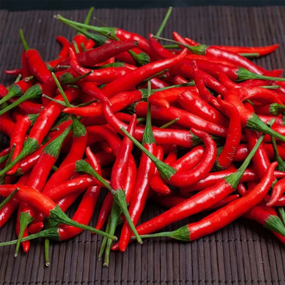 High Quality 100% Pure Chili Pepper Smoked Fresh Red Pepper For Food Seasoning From Vietnam