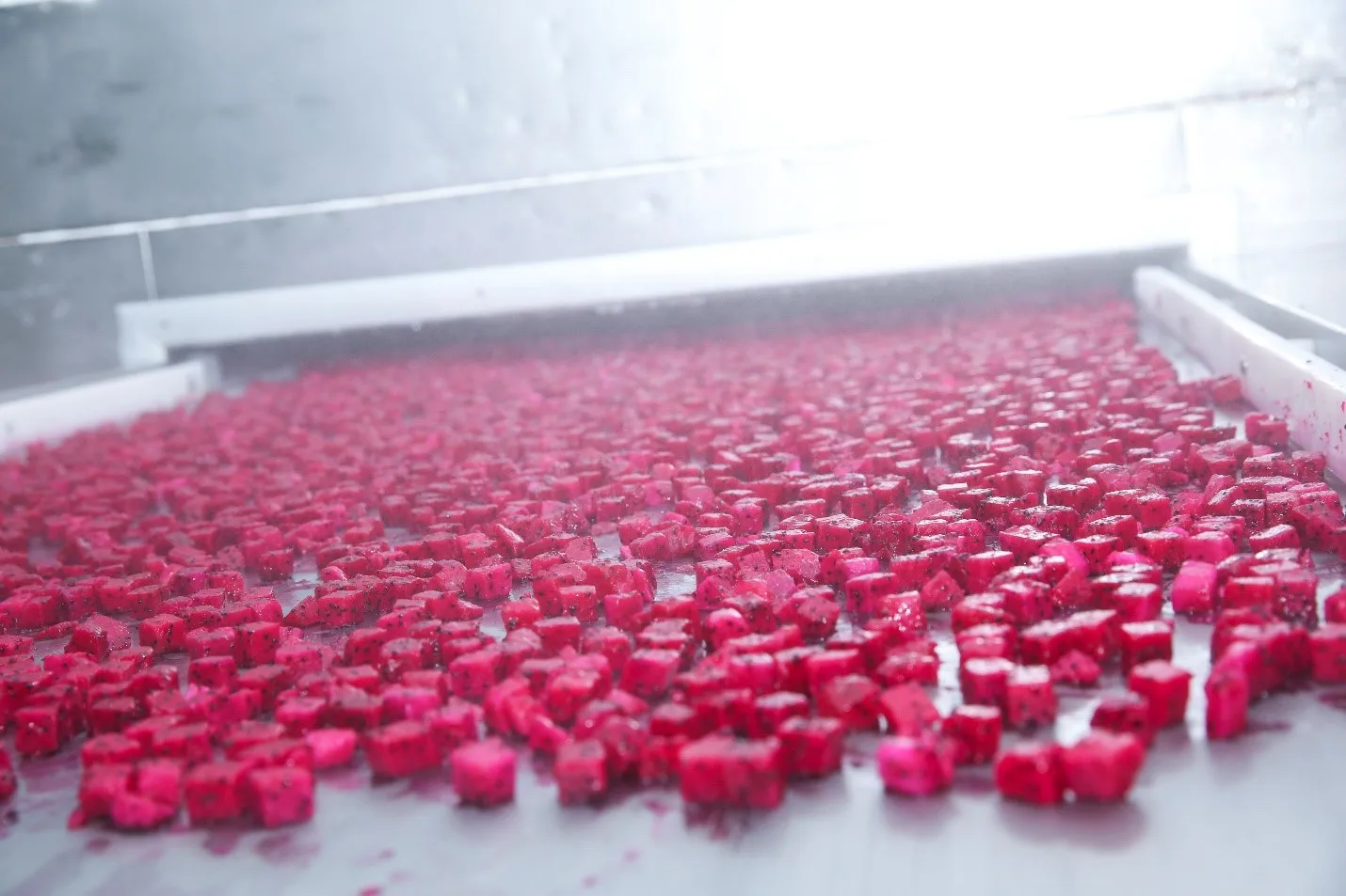 High Quality Vietnam Cheapest Price Tropical Fruit With Global Gap Certificate IQF Red Dragon Fruit / Frozen Pitaya