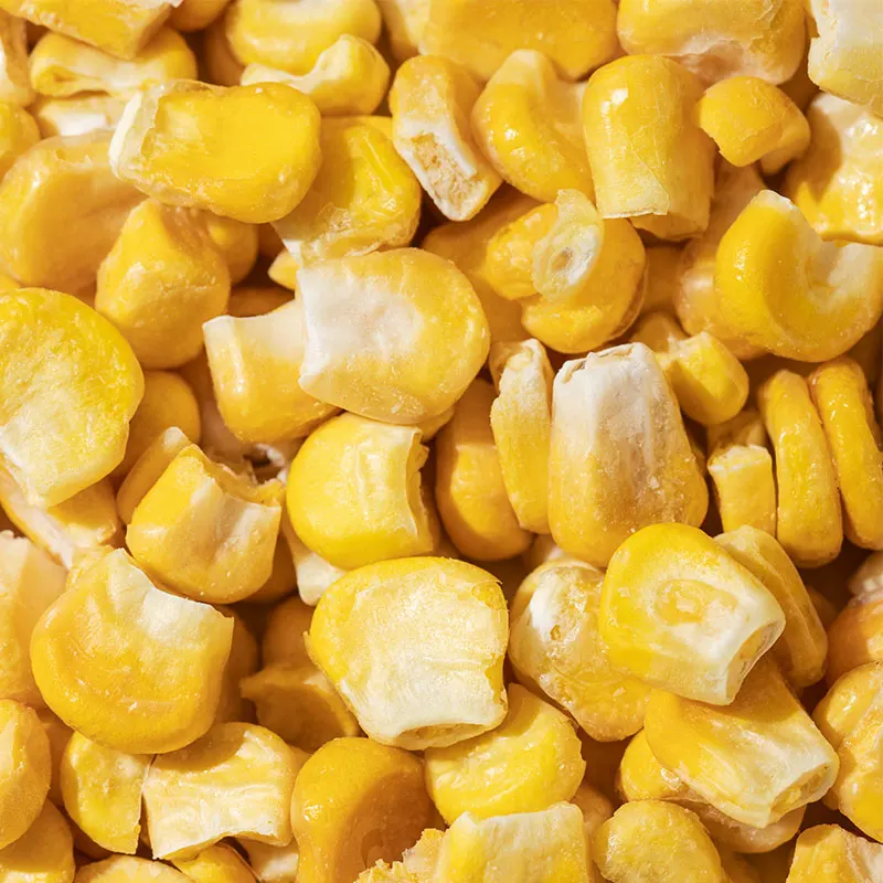 Whole Style Sweet Corn Kernel Yellow Maize Corn