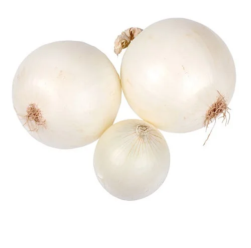 Top Selling Super Quality Fresh Onions New Crop Red Onion at Wholesale Price from Thailand