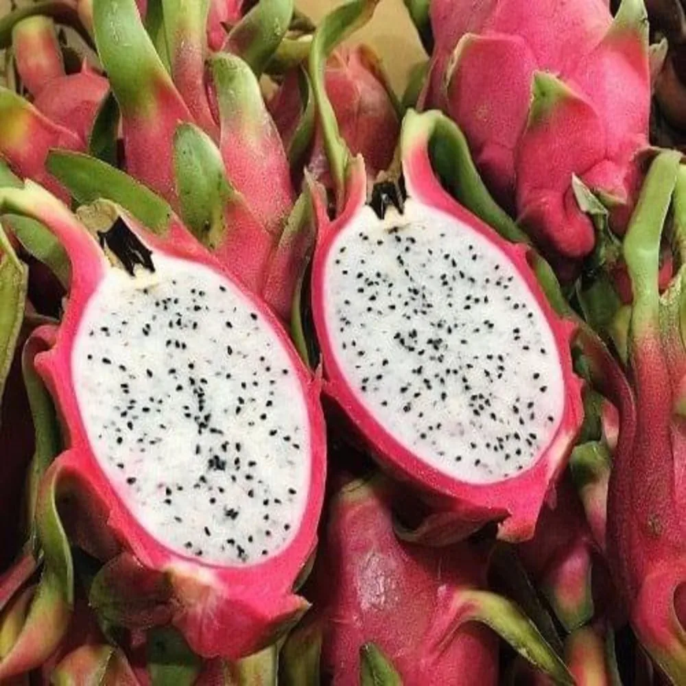Fresh White Dragon Fruit High Quality Good Price Wholesales High Grade Best Dragon Fruit Ready To Ship