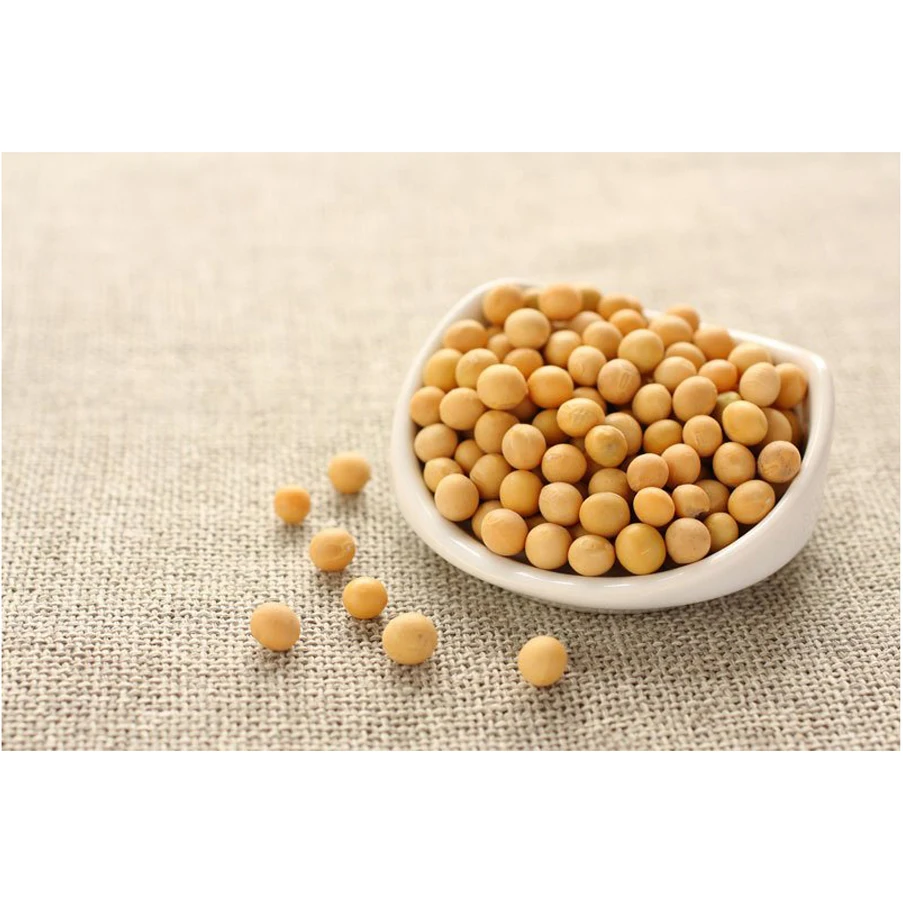 NON GMO Soybean Available for Cheap Price / High Quality Soybean/Soya Bean - Soybean Seeds