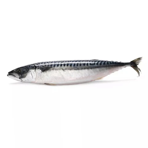 High Quality Seafood Whole Fish Horse Mackerel Frozen Pacific Mackerel Fish For Sale
