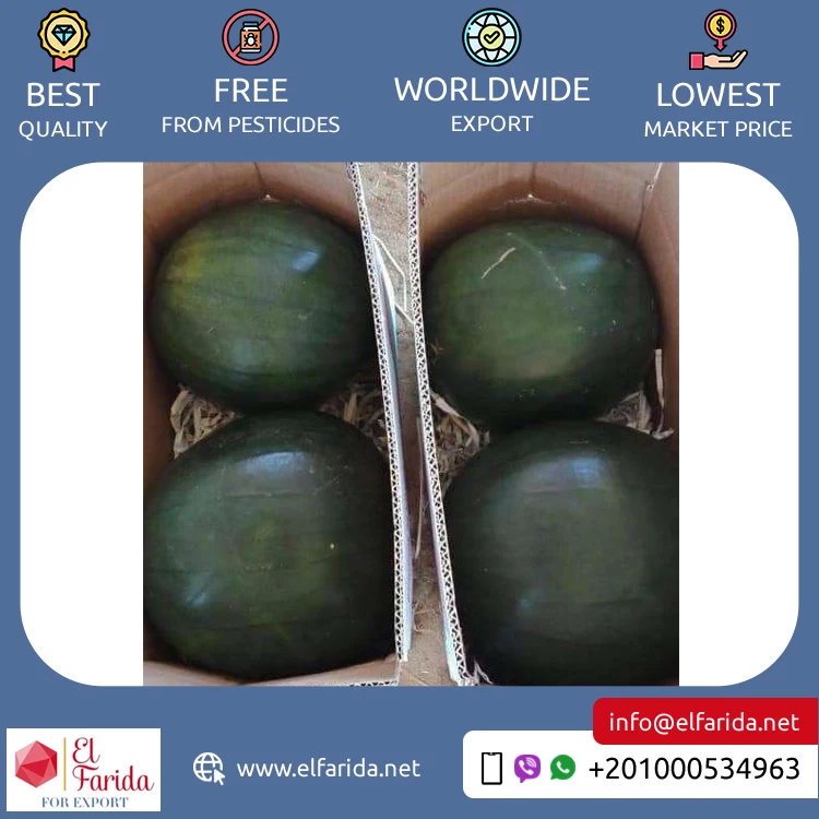 Excellent Quality Top Selling 100% Natural Delicious Original Taste Seeds/ Seedless Watermelon for Wholesale Buyers