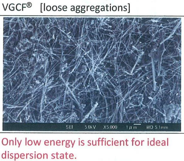 VGCF-H.jpg
