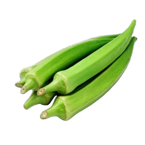 FRESH OKRA WITH EXCELLENT PRICE AND HIGH QUALITY FOR EXPORTING FROM VIETNAM