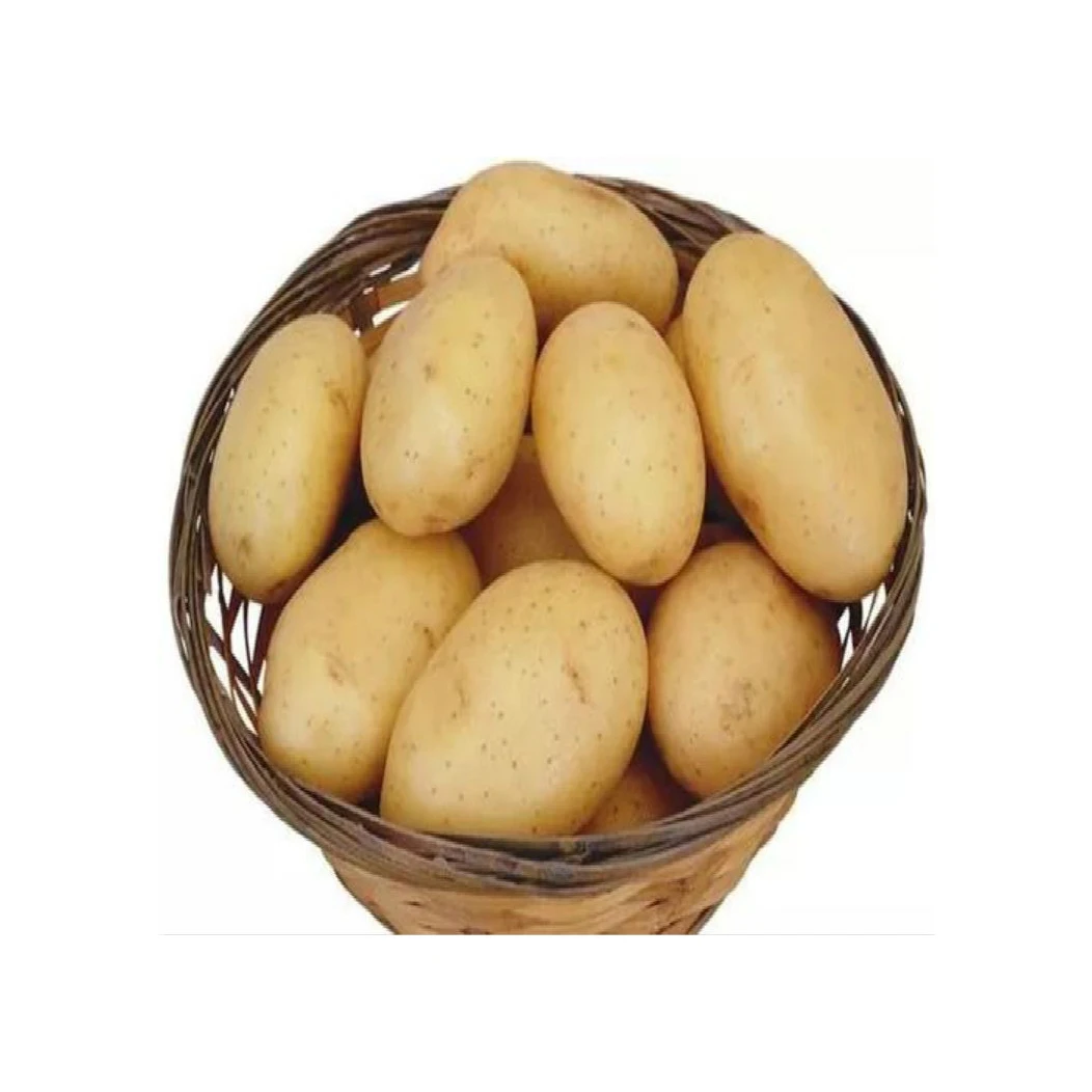 Premium quality 100% Organic fresh Potatoes from Europe