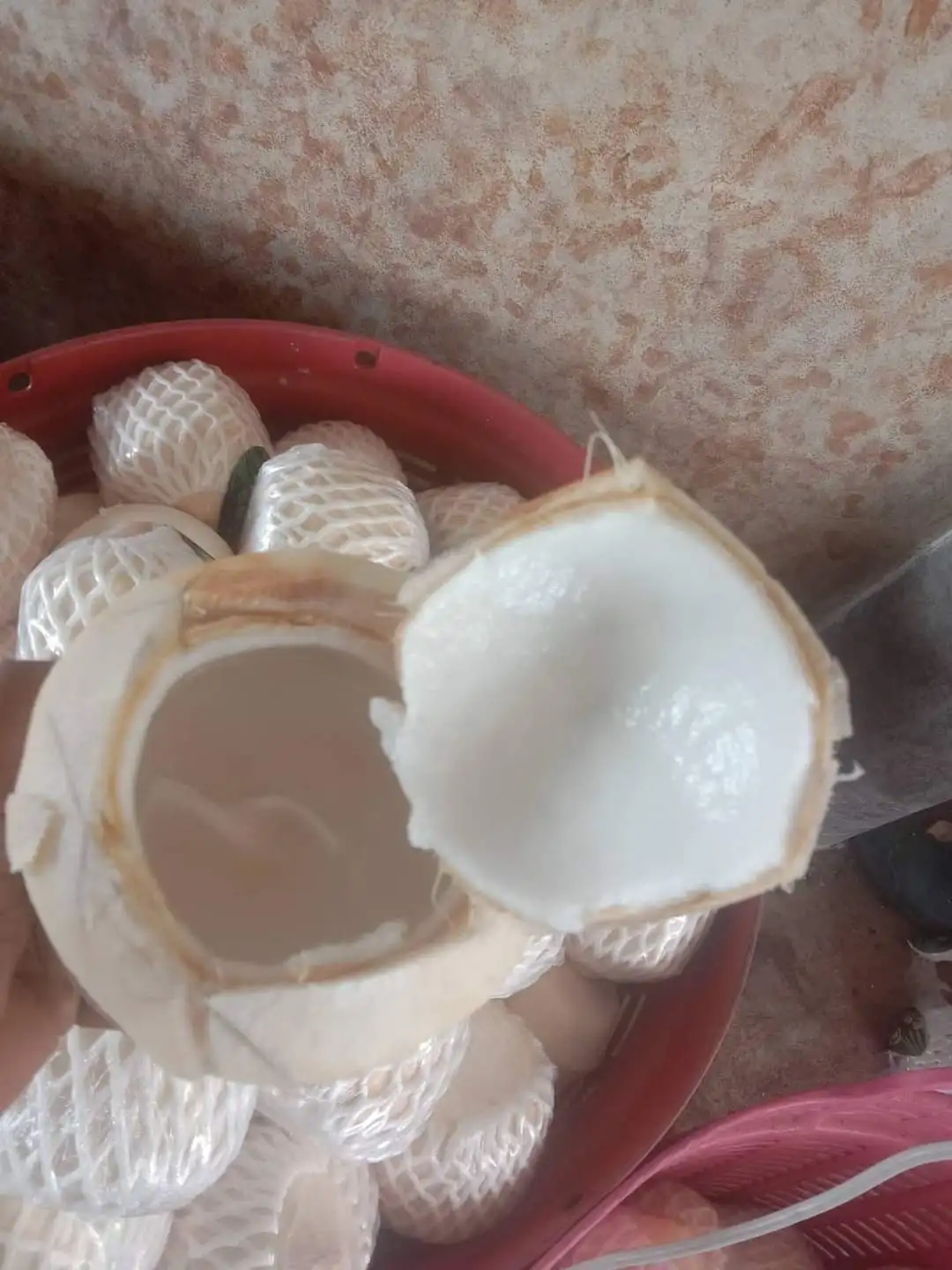 Premium Fresh Young Coconut 9 Pieces per Carton From Thailand Wholesale OEM High Quality Export Grade