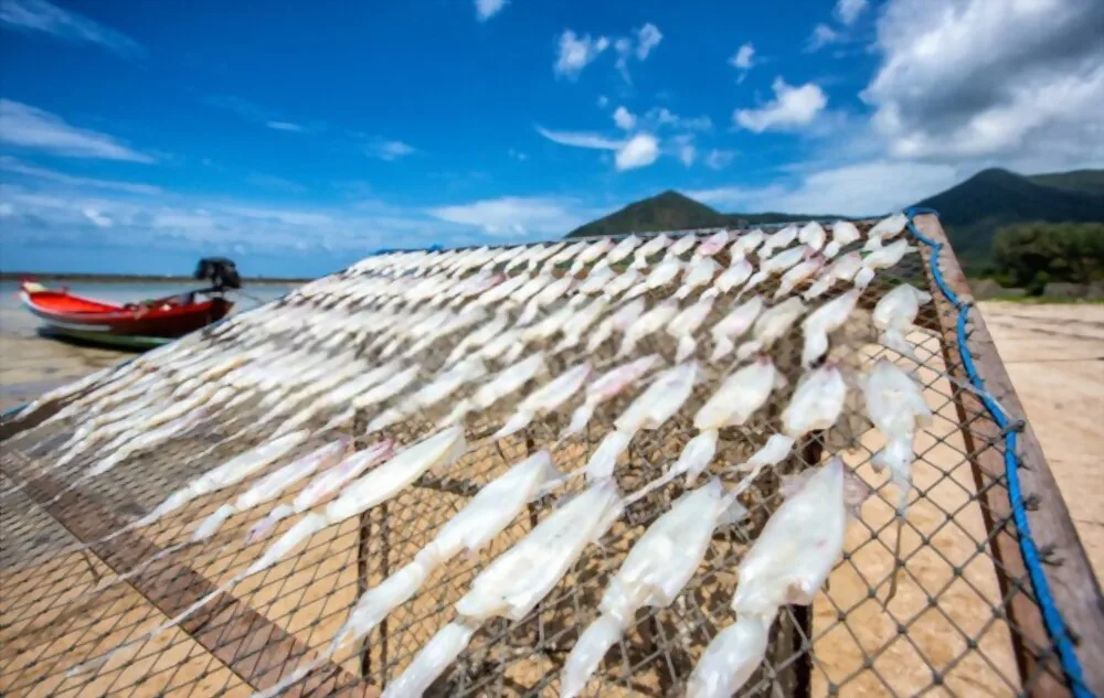 Manufacturer OEM Frozen Specialty bulk dried squid Dried Food From Vietnam Factory