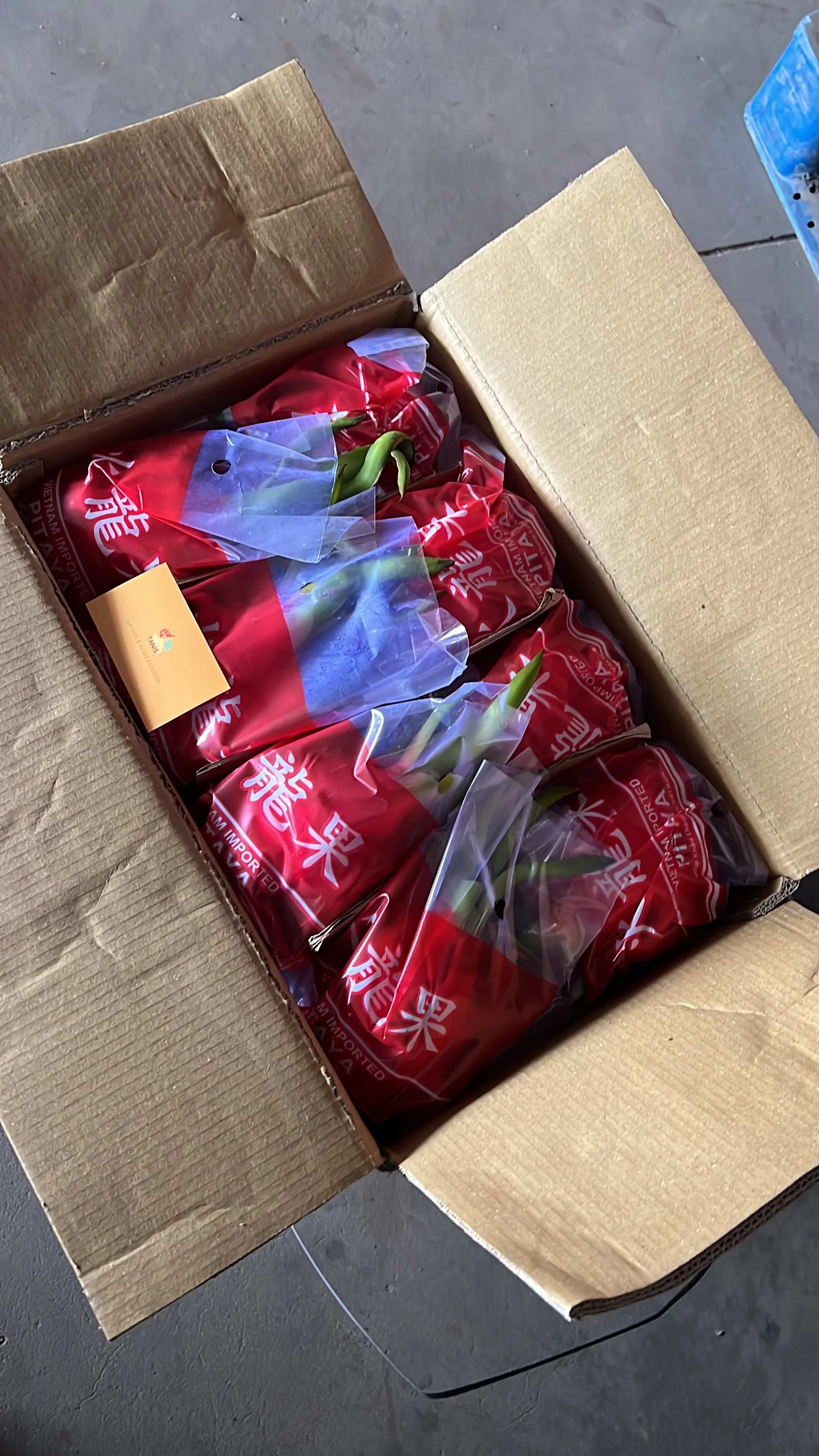 Fresh Dragon Fruit from Vietnamese Supplier with the Most Competitive Price