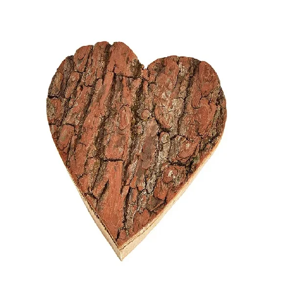 Decorative Figurine Guardian Angel Praying in Mango Wood Circle 10x16x4cm Mango Wood Solid Brown With Fairy Design