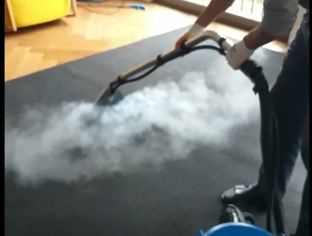 Новая модель, Лучшая цена, паровая машина для очистки диванов, обивки и ковровых покрытий, для коммерческой профессиональной паровой мойки