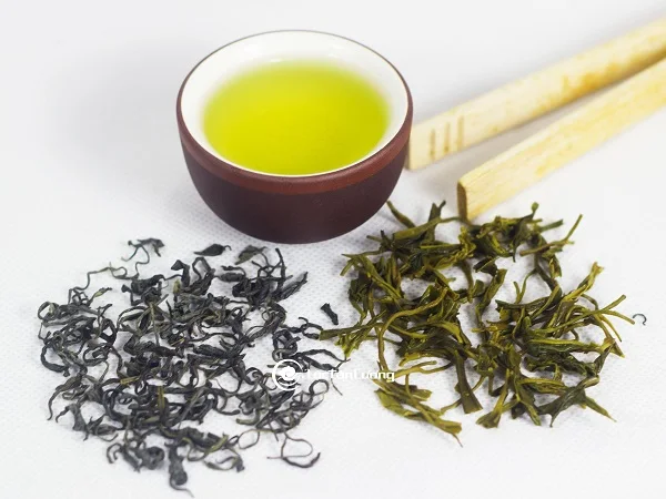 High Quality Export Products Natural Fresh Organic Black Tea Dried from Vietnam