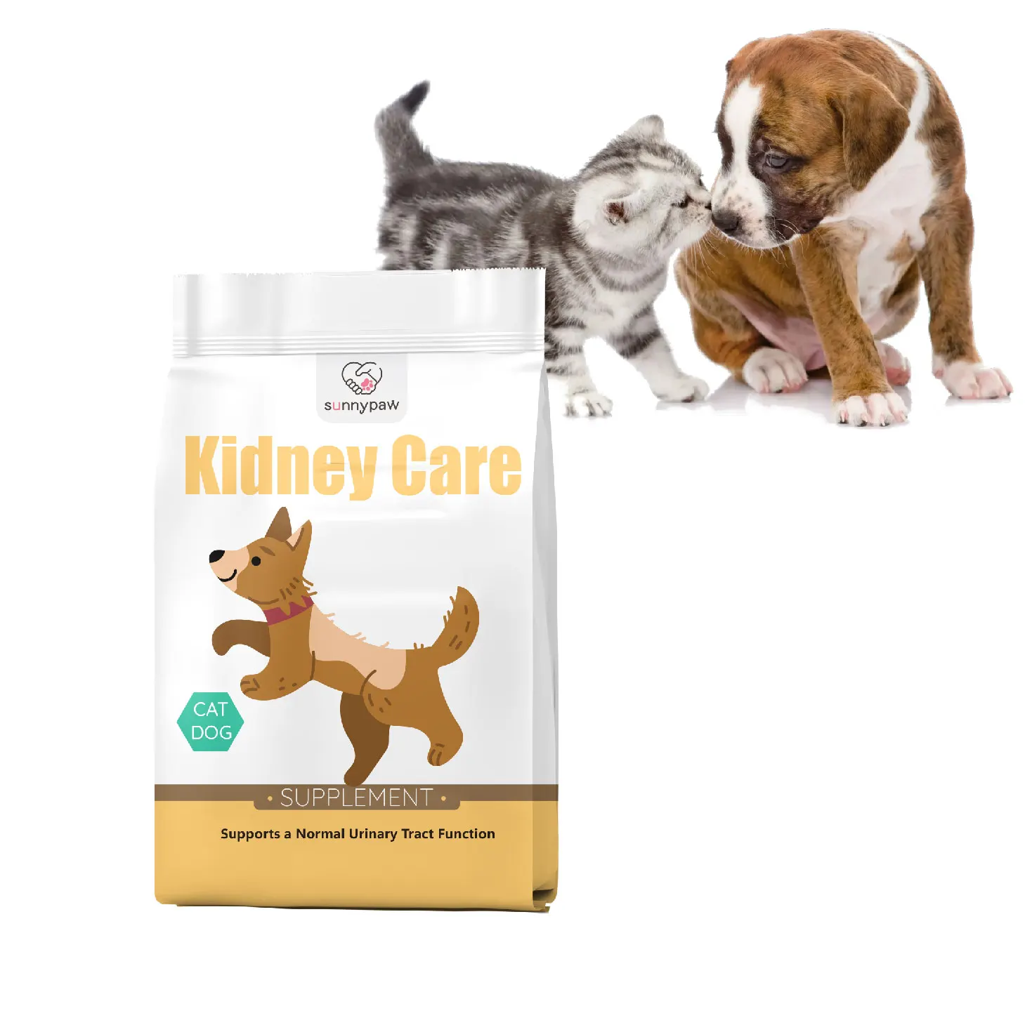 Cordyceps Militaris Powder Pack Kidney & Bladder Support Seafood Flavor Cat Health Supplement