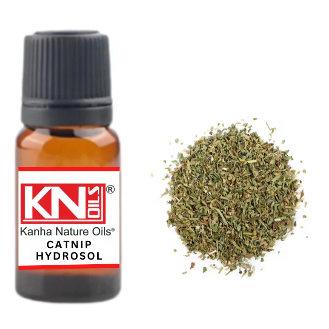 CATNIP HYDROSOL MANUFACTURER KANHA NATURE OILS INDIA PREMIUM QUALITY WHOLESALE PRICE BULK BUY