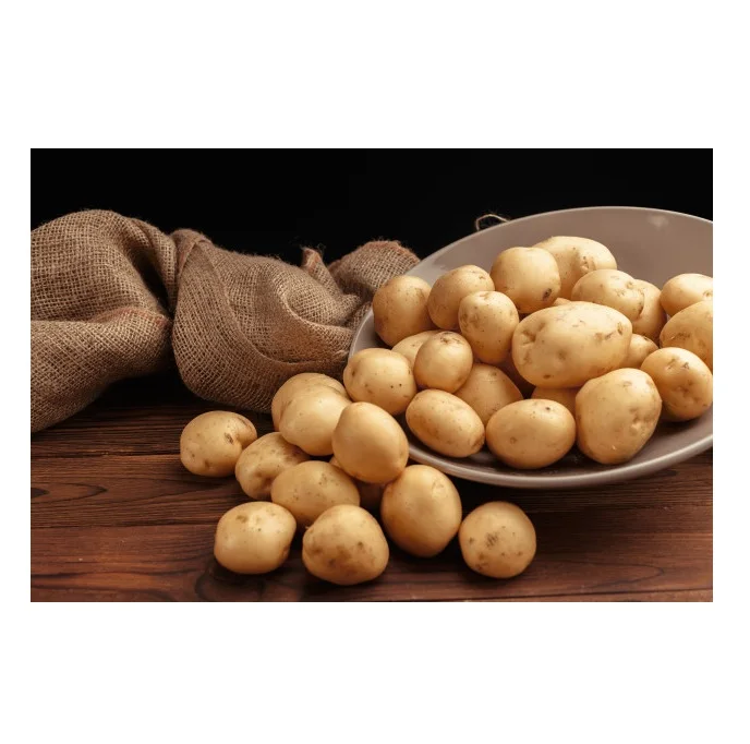 Fresh Potatoes for Sale