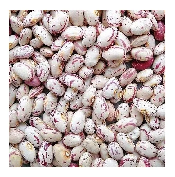 Dried Pinto Bean Best Price Light Speckled Kidney Beans