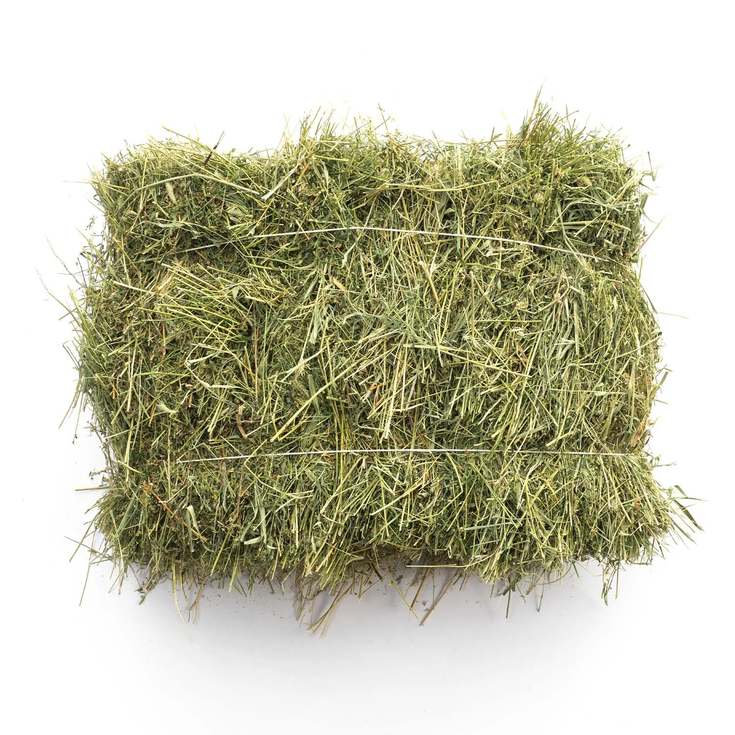 Buy Alfafa Hay Animal Feeding Stuff Alfalfa,  Alfafa in Bales Best Super Top Quality