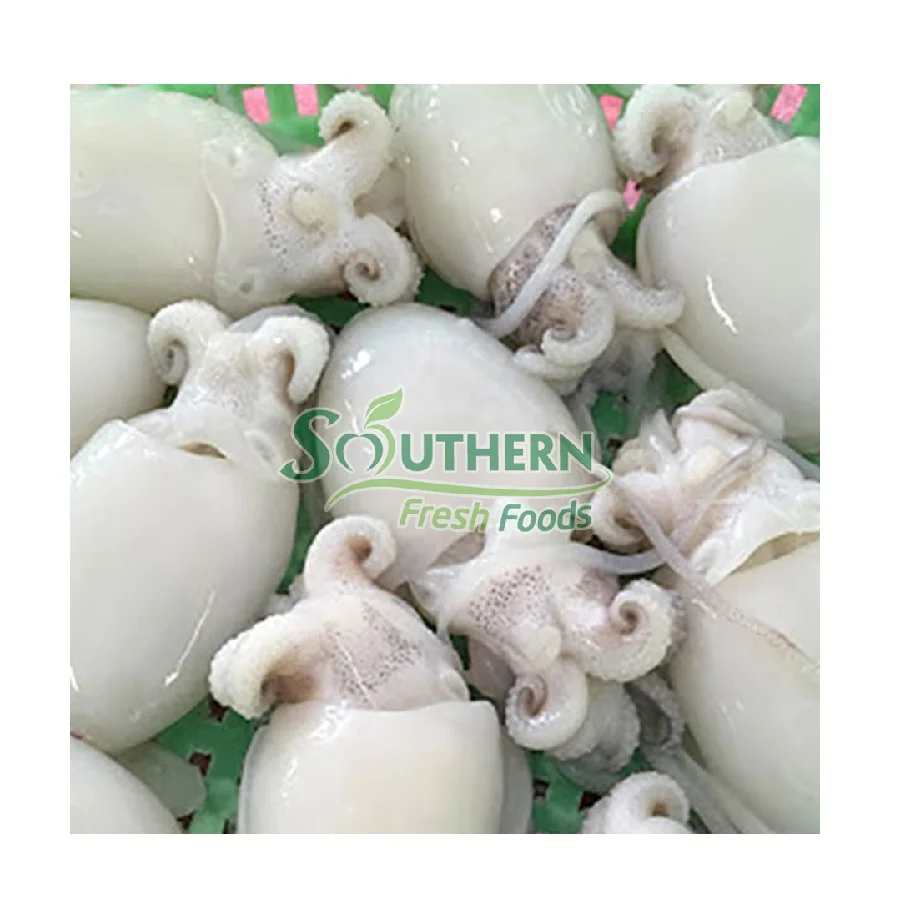 SFF bulk style Wild Caught Nature packaging feature products quality best cuttlefish Frozen Baby Cuttlefish from Vietnam