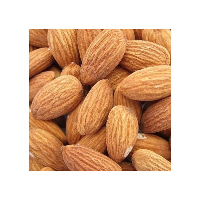 Best price Good Tast Apricot kernel Bitter and Sweet Apricot kernels Nuts For Sale