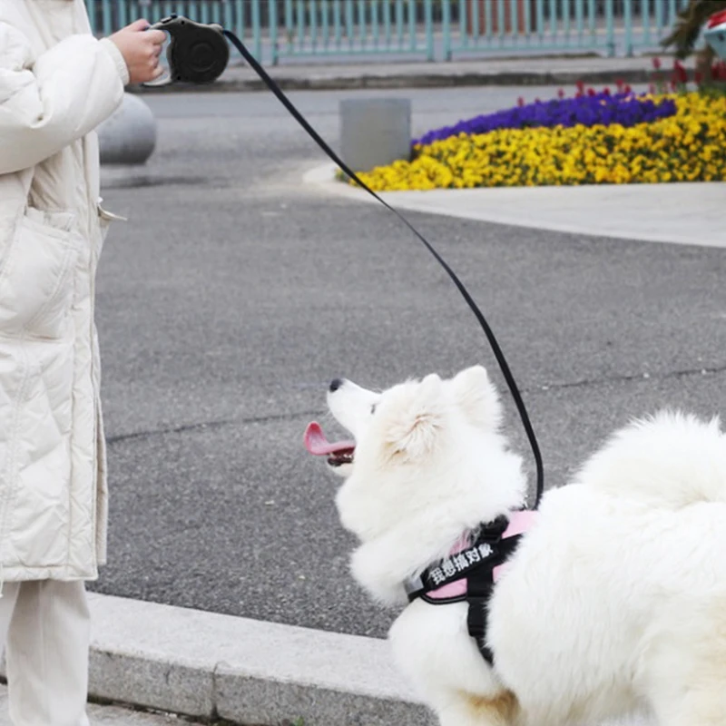Large Dogs Pet Supply Retractable Dog Leashes Automatic Flexible Puppy Cat Strong Nylon Extending Rope Collar Lead