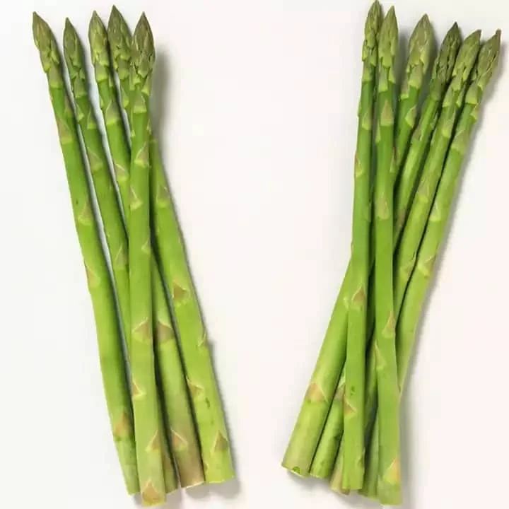 Top Fresh Asparagus,Asparagus vegetables,Fresh green asparagus from Germany..