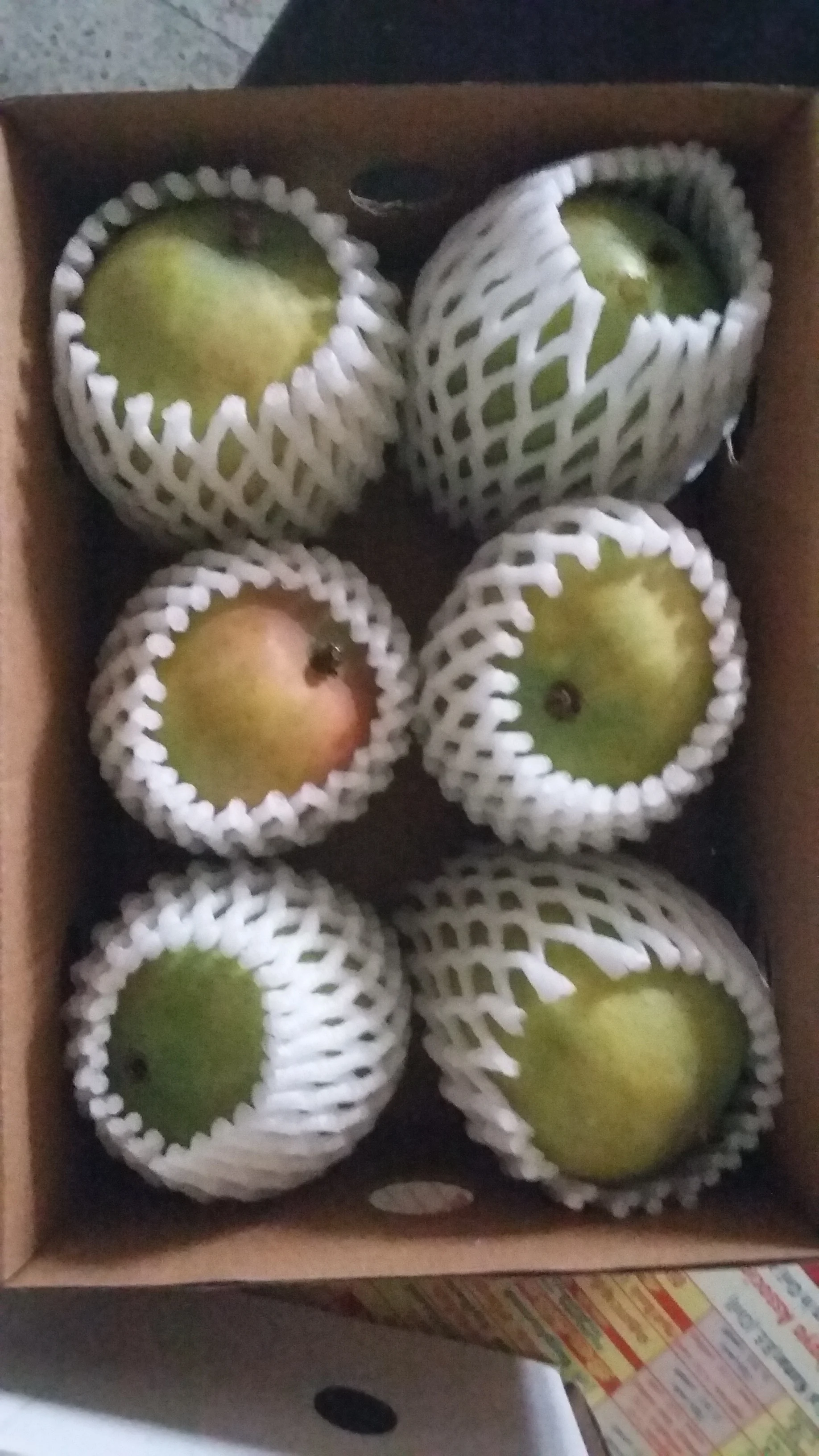 Unmatched Banganapalli sweetness of Mango Export to  Tunisia /   Somalia / Kenya /   Zimbabwe from India