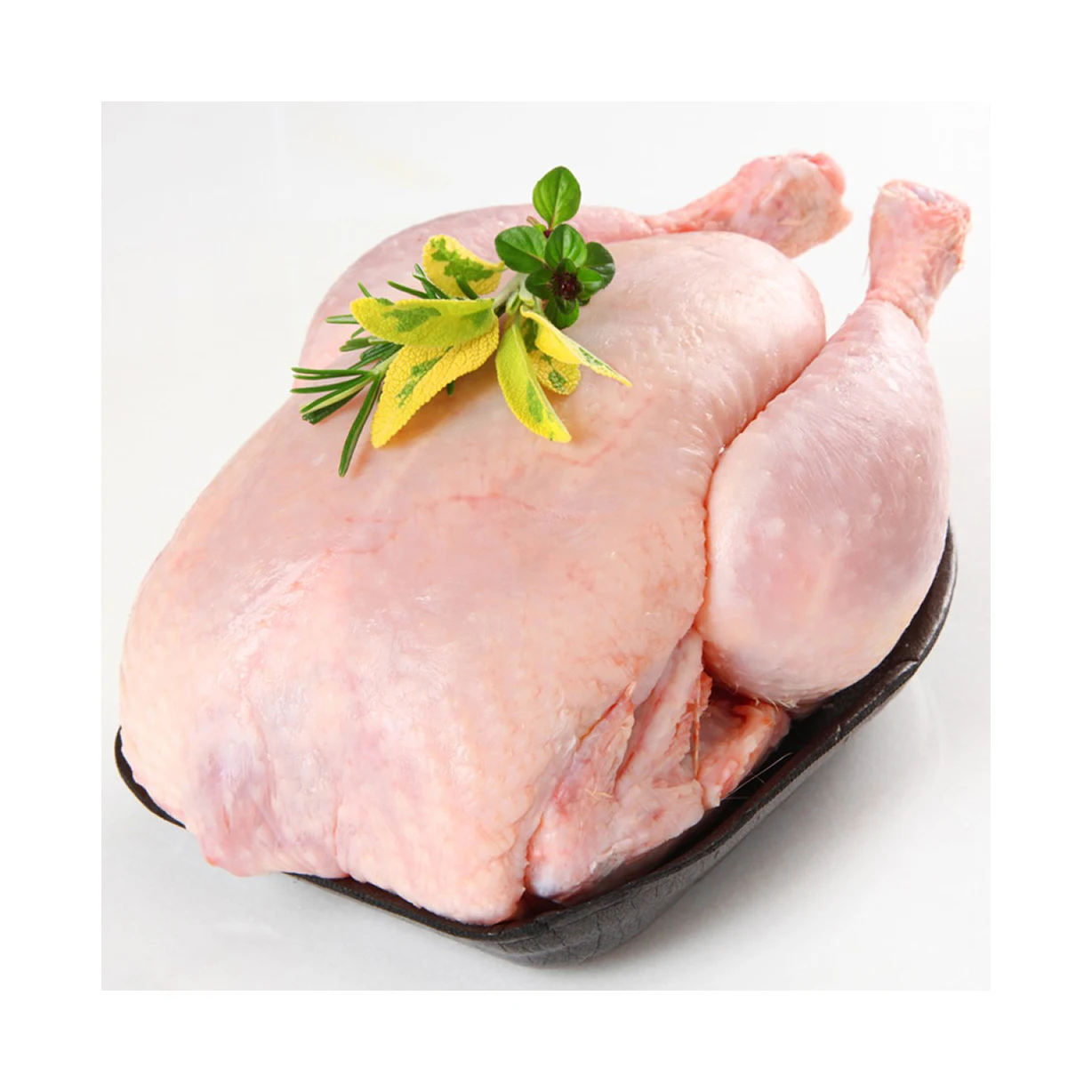 Perfect Premium Grade Halal Frozen Whole Chicken Brazilian Quality Halal Frozen Whole Chicken and Parts Halal Frozen Whole Chick