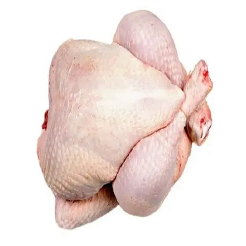 Frozen Chicken For Sale, Buy Frozen Chicken, Best Price Frozen Chicken