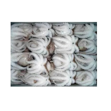 Frozen Whole Cleaned Baby Octopus