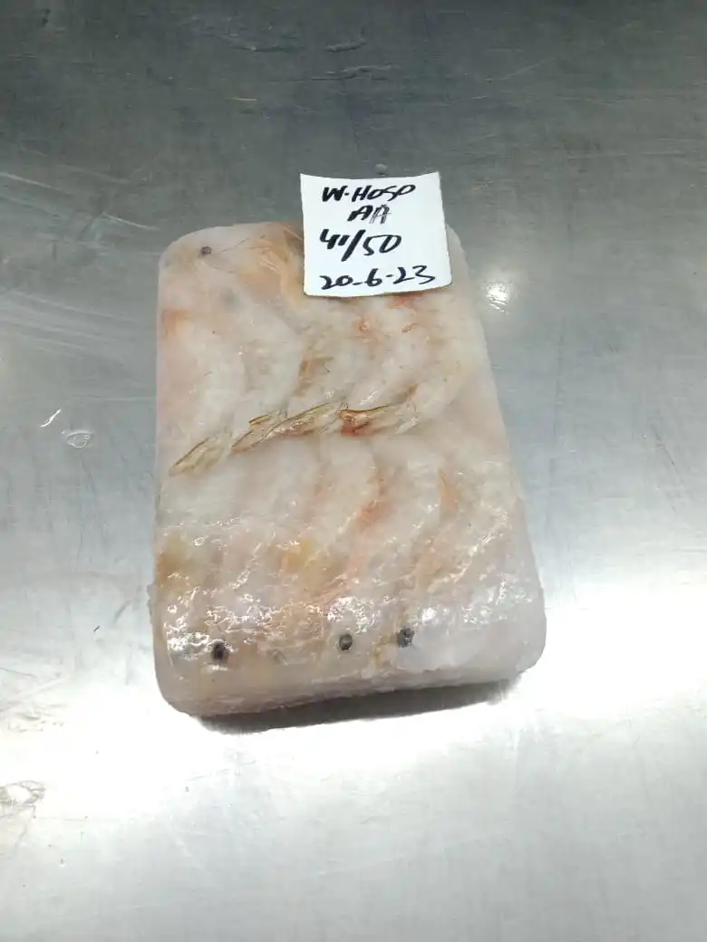 FROZEN HEAD ON SEA WHITE SHRIMPS G-I (PENAEUS INDICUS)