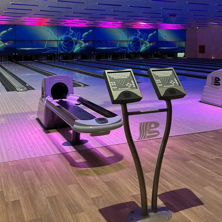Brunswick House Adult Bowling Alley lanes and Machine Good Price Bowling Lanes Equipment With Balls