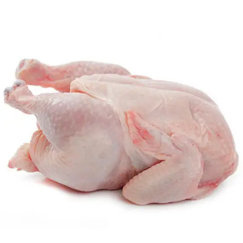 Wholesale Supplier of Delicious Taste Frozen Whole Chicken