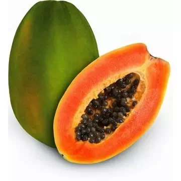 Wholesale Fresh Papaya Fruit Fresh Papaya (1600628642820)
