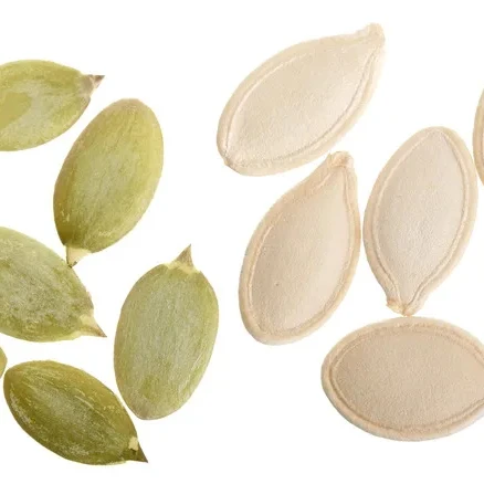 Недорогое Тыквенное ядро с зеленой кожей-органическое зеленое тыквы