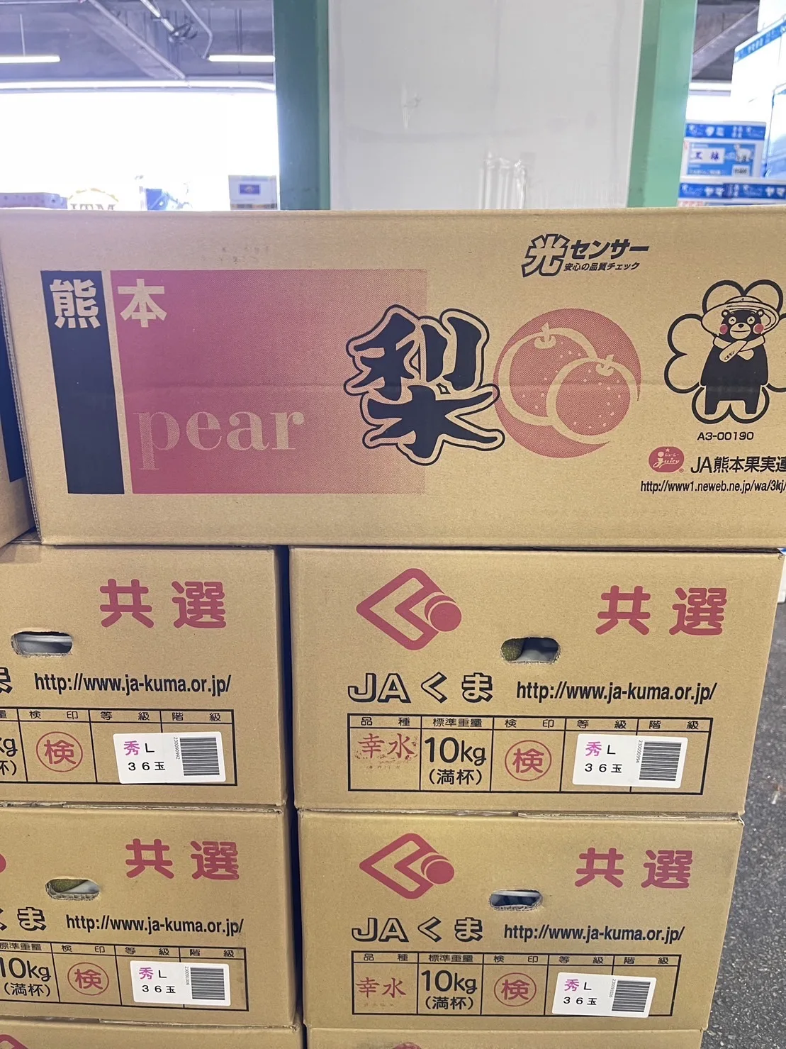 Bulk Japanese Fresh Sweet and Juicy Pear Kosui