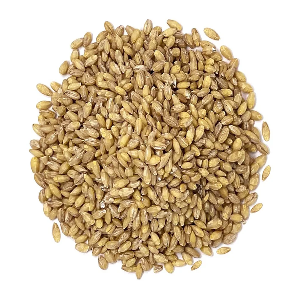 Высококачественное Ячменное Зерно для использования в качестве корма для животных и в пищевой промышленности, оптовая продажа от производителя, ячмень для продажи оптом