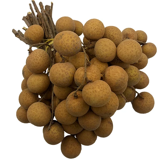 Premium Quality Imported Grade Longan Fruit Temperature measuring Quality Selecting Fresh Longan for Consuming from Thailand