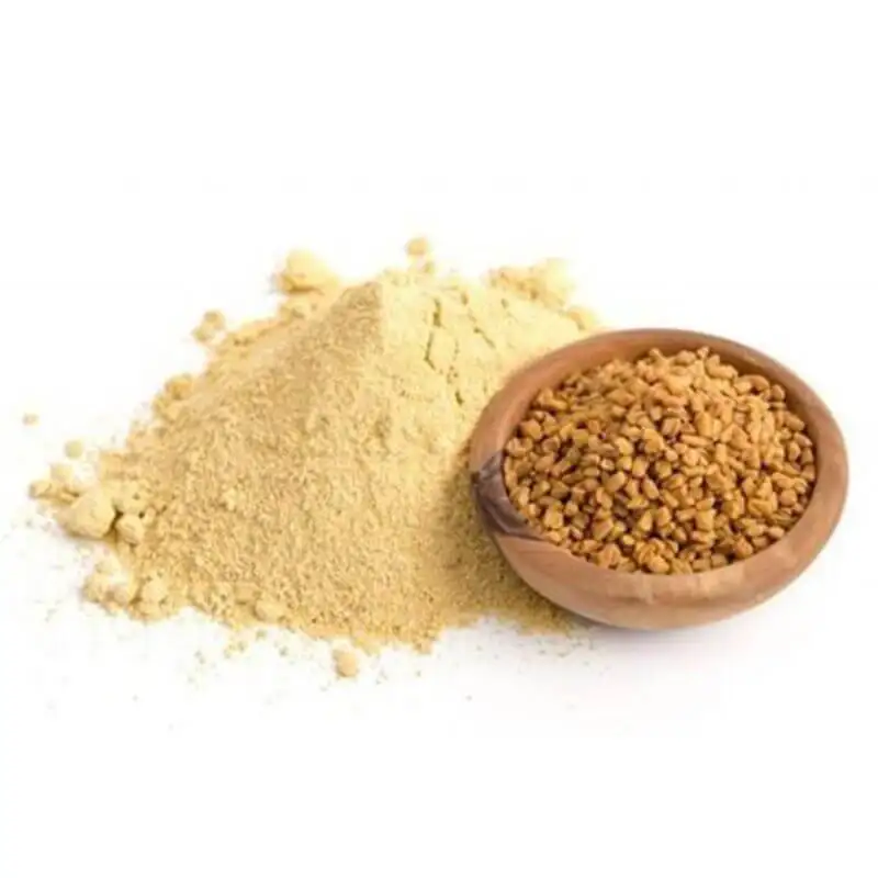 Wholesale Price Bulk Organic Fenugreek Extracted Powder for Cooking Use Available for Bulk Export from India