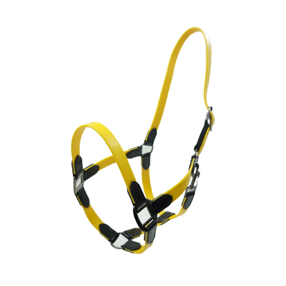 Highest Selling Horse PVC Halter Equestrian Horse Equipment Water-Proof Horse Halter Available At Affordable Price