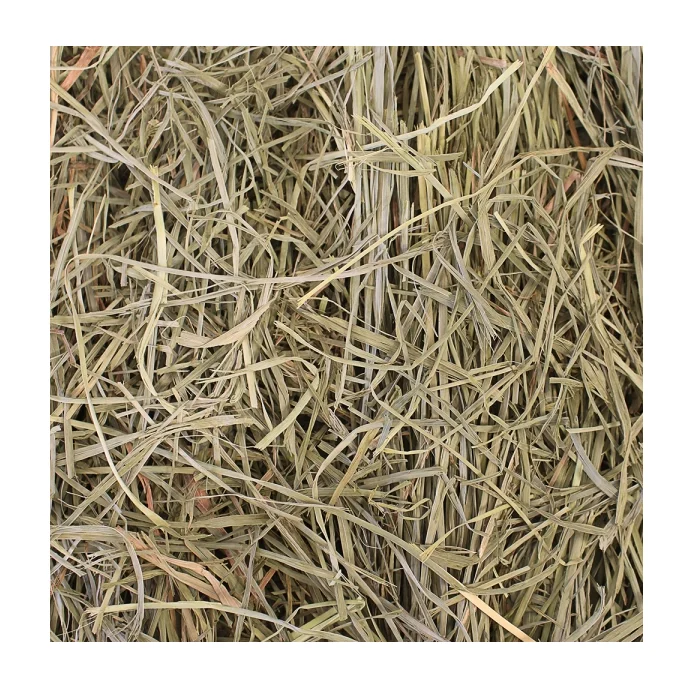 Quality Alfalfa Hay,Timothy Hay and Orchard Grass Hay Now in Stock.